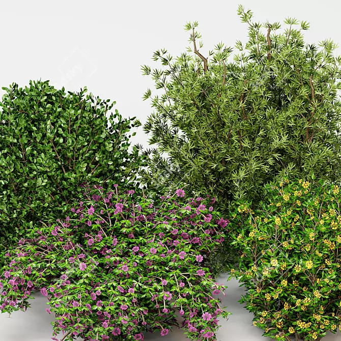 BUSH Collection 31 File Set 3D model image 2