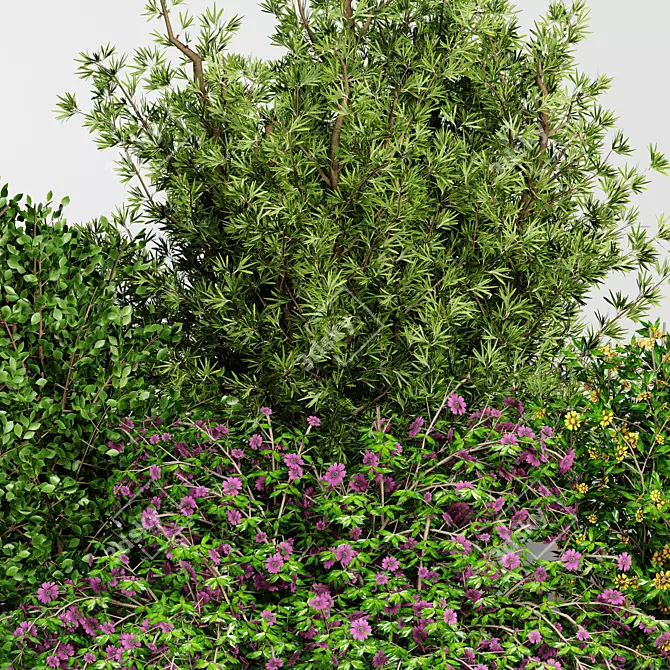 BUSH Collection 31 File Set 3D model image 3
