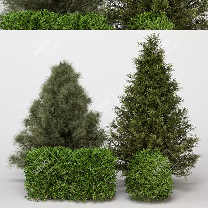 Modern Bush Collection 3D Model 3D model image 1