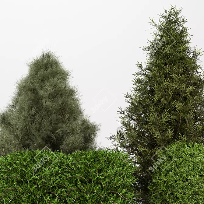 Modern Bush Collection 3D Model 3D model image 2