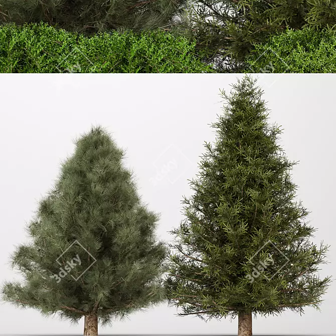 Modern Bush Collection 3D Model 3D model image 3