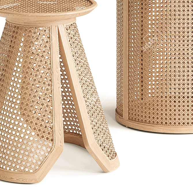 Round Rattan Side Table Set 3D model image 2