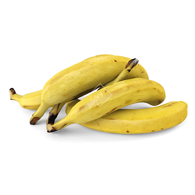 Fresh Ripe Bananas 3D model image 4