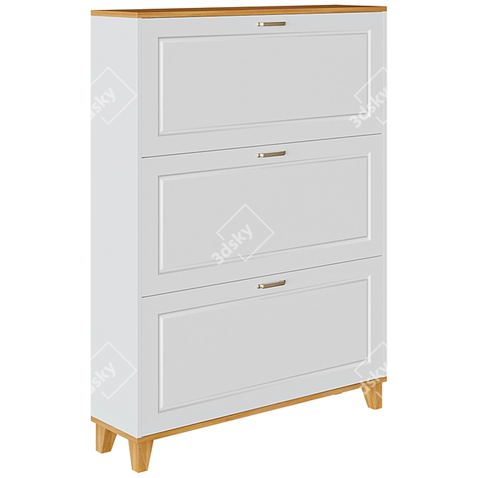Willa Arlo Shoe Storage Cabinet 3D model image 1
