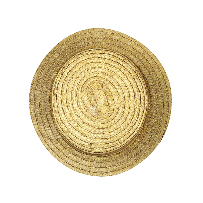 Straw Hat 3D model image 4