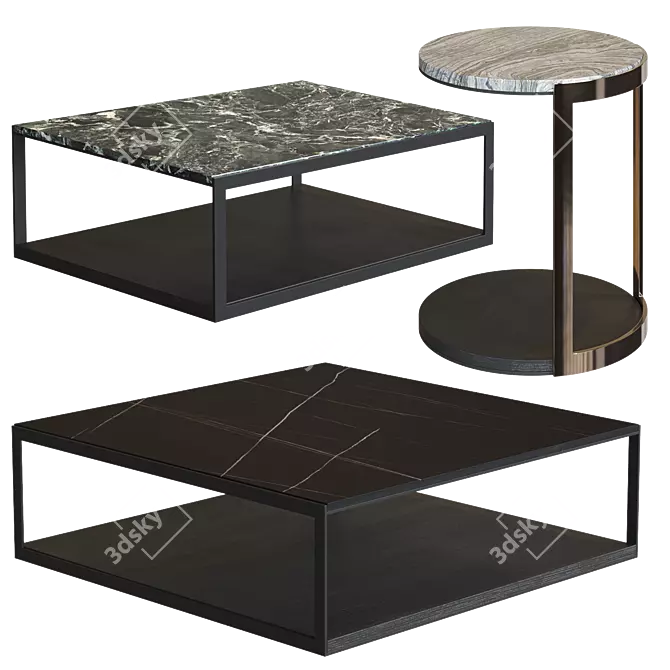 Alisee Molteni Coffee Tables Set 3D model image 7