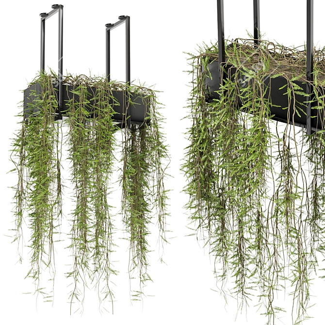 Metal Box Hanging Plants Set 3D model image 1