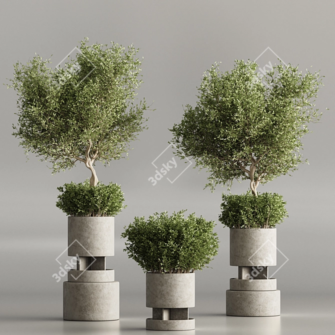 Modern Indoor Plant Collection Set 3D model image 2