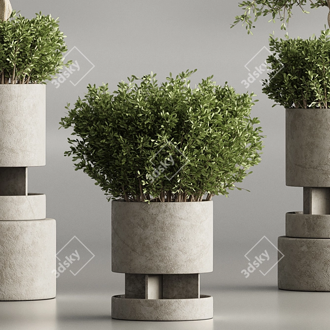 Modern Indoor Plant Collection Set 3D model image 3