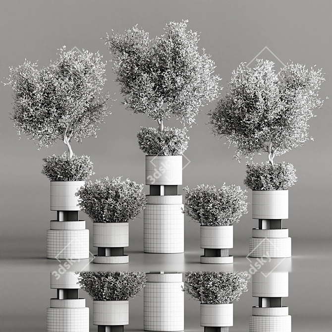 Modern Indoor Plant Collection Set 3D model image 4
