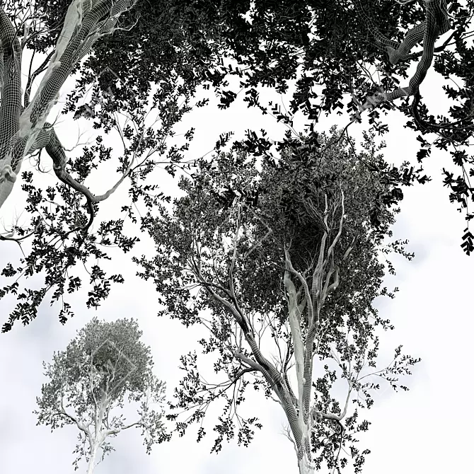 Handcrafted Fagus Grandifolia Tree Model 3D model image 4