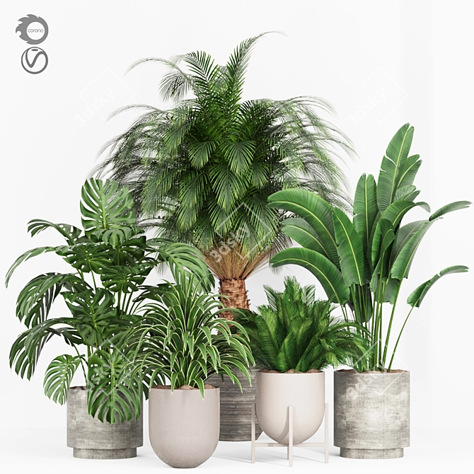 Tropical Plants 3D Models Set 3D model image 1