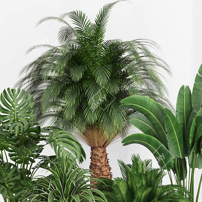 Tropical Plants 3D Models Set 3D model image 2