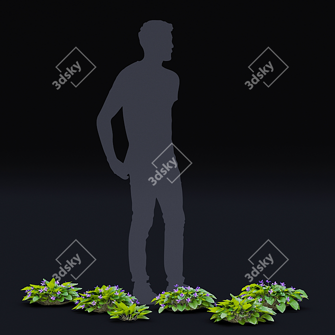 Fragrant Viola Bushes Bundle 3D model image 3