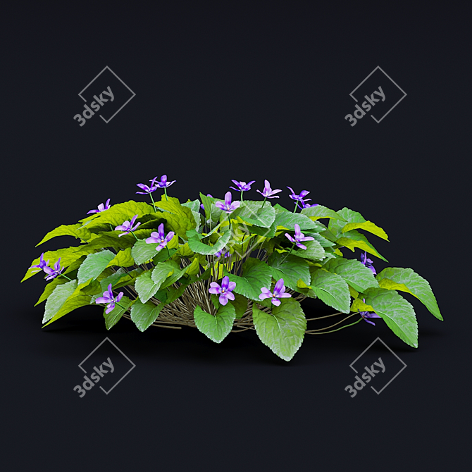 Fragrant Viola Bushes Bundle 3D model image 5