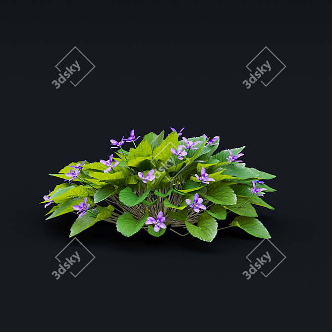 Fragrant Viola Bushes Bundle 3D model image 7