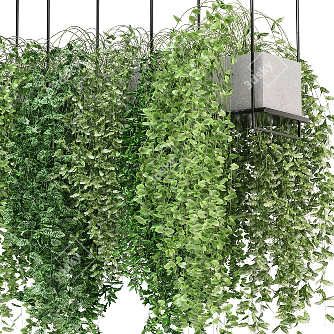  Modern Hanging Plant Set 460 3D model image 2