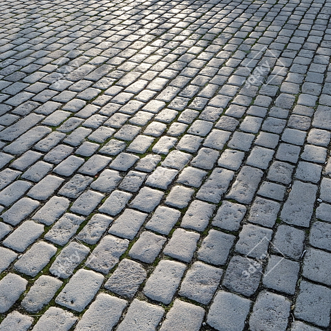 3D Pavement Tile Model Set 3D model image 1