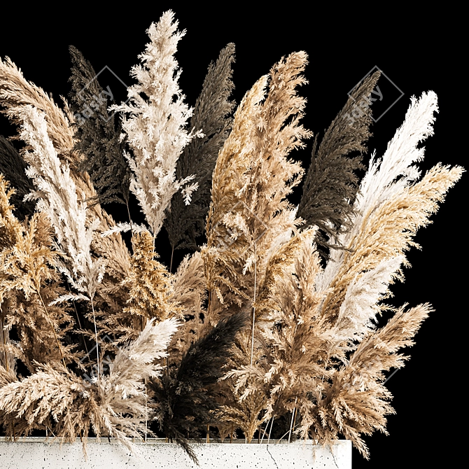 Pampas Grass Concrete Vase Bouquet 3D model image 4