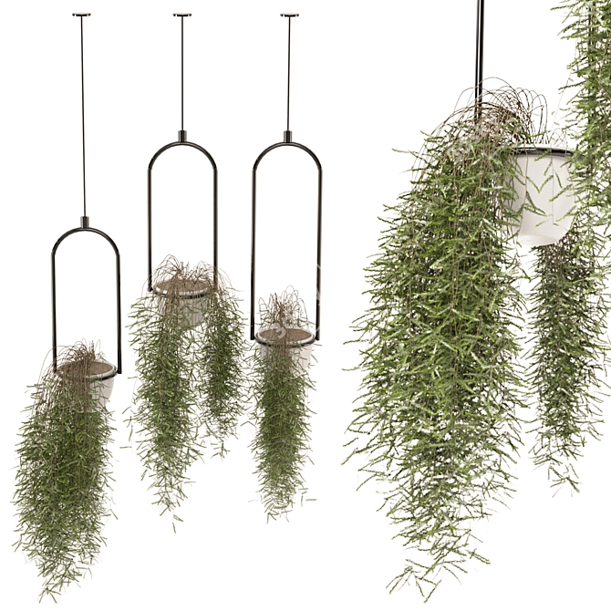 Metal Box Set Indoor Plants 3D model image 2