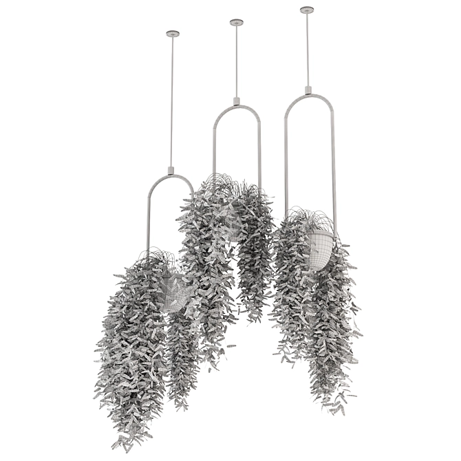 Metal Box Set Indoor Plants 3D model image 4
