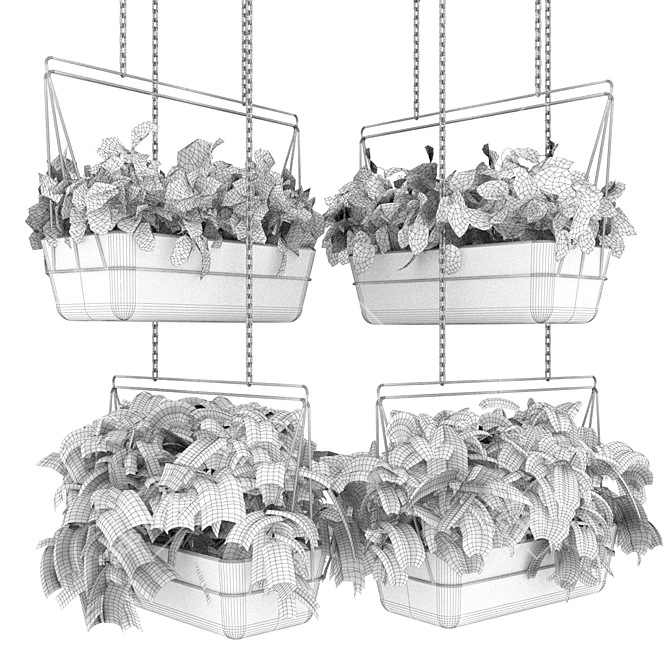 Premium Pothos Hanging Plant 3D model image 6