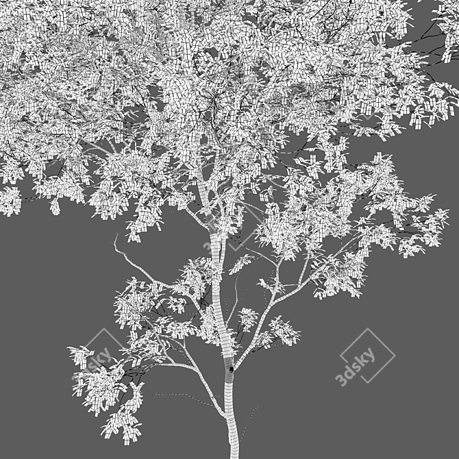 Tall Forest Trees Set 04 3D model image 5