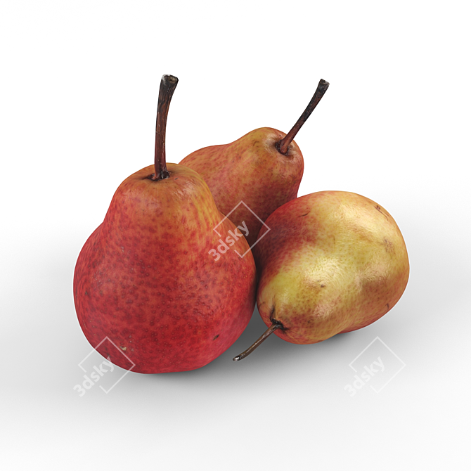 Crimson Pear Delight 3D model image 3