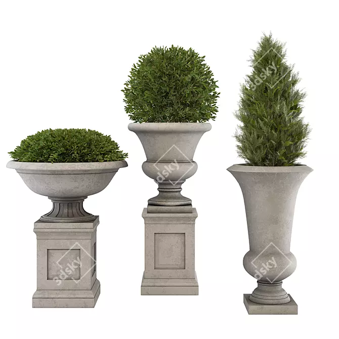  Green Oasis Plant Collection 3D model image 1