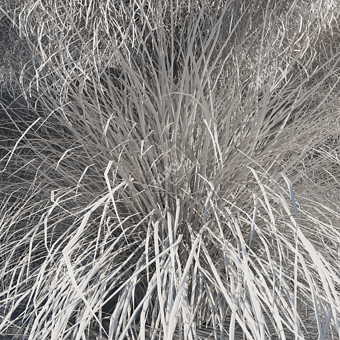 Pink Muhly Grass 3D Model 3D model image 3