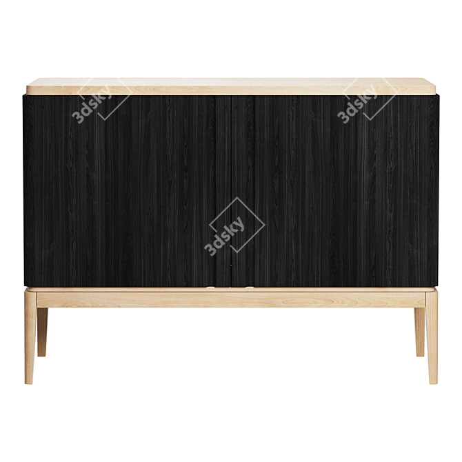 Oak Line 2-Door Cabinet 3D model image 3