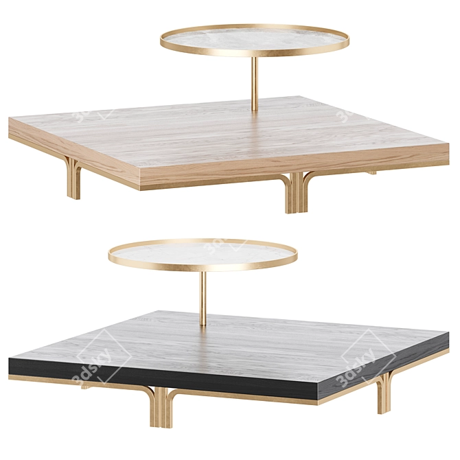ROSSATO RICHARD Home Coffee Table 3D model image 2