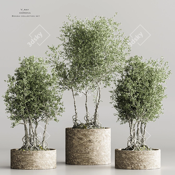 Modern Indoor Plant Collection 2015 3D model image 1