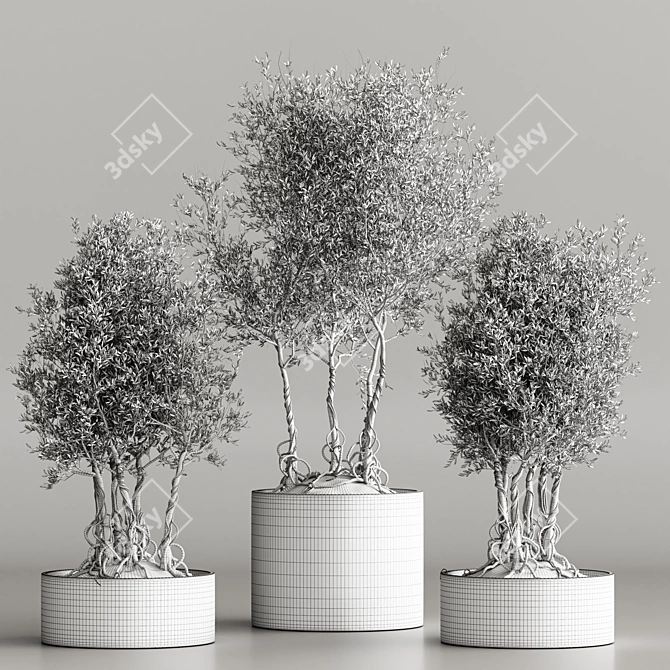 Modern Indoor Plant Collection 2015 3D model image 3