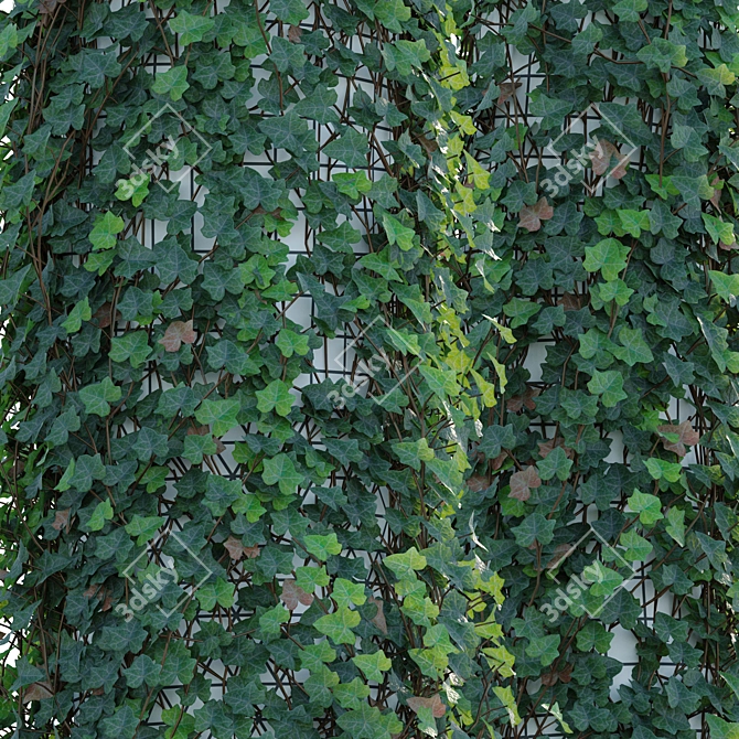 Trunk Ivy Climbing Plant Décor 3D model image 3