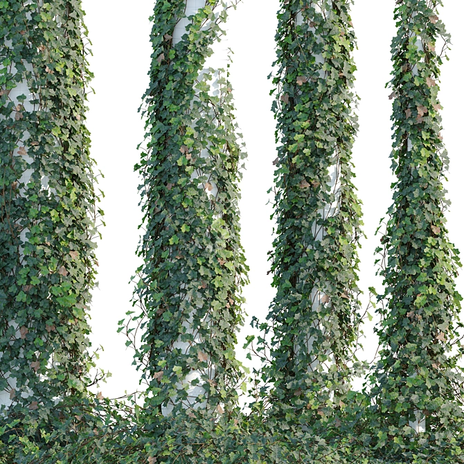 Trunk Ivy Climbing Plant Décor 3D model image 6