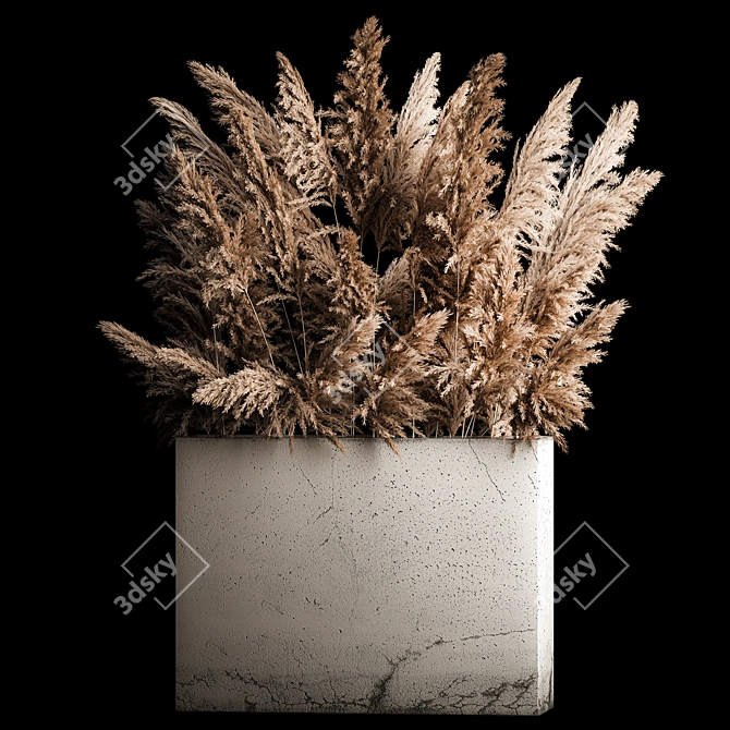 Pampas Reed Bouquet in Concrete Vase 3D model image 1