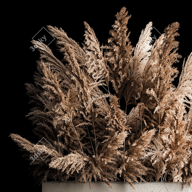Pampas Reed Bouquet in Concrete Vase 3D model image 2