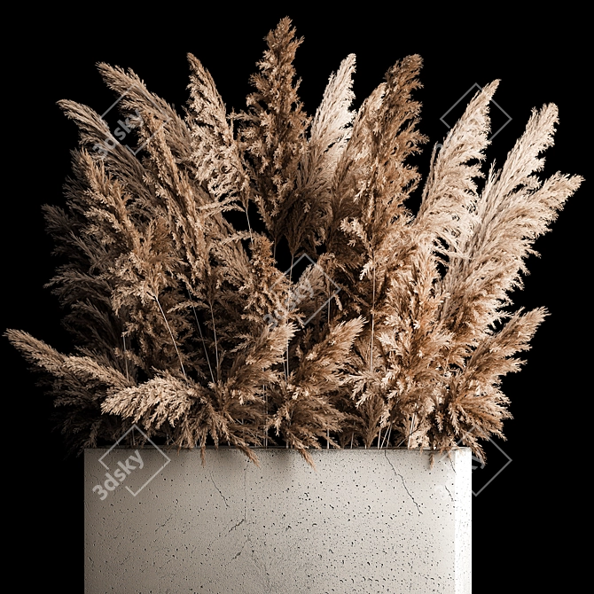 Pampas Reed Bouquet in Concrete Vase 3D model image 3