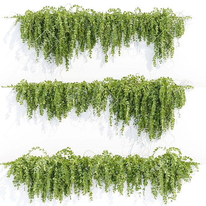 Vertical Hanging Plants Collection 3D model image 1