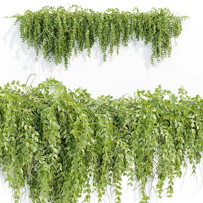 Vertical Hanging Plants Collection 3D model image 2