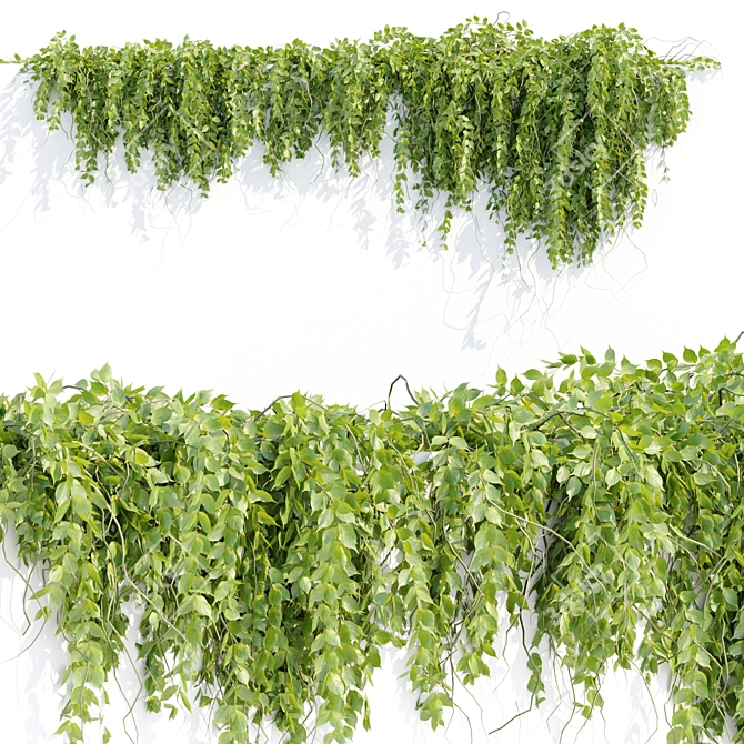 Vertical Hanging Plants Collection 3D model image 3