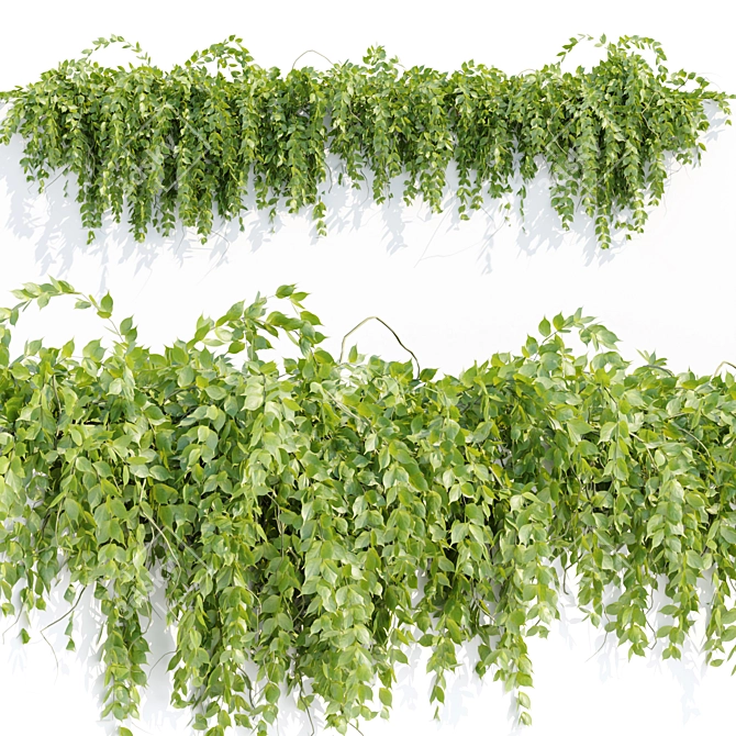 Vertical Hanging Plants Collection 3D model image 4