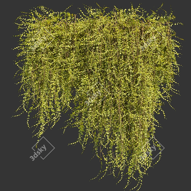 Outdoor Ivy Leaf Bush 3D 3D model image 3