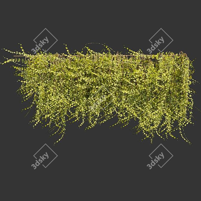 Outdoor Ivy Leaf Bush 3D 3D model image 5