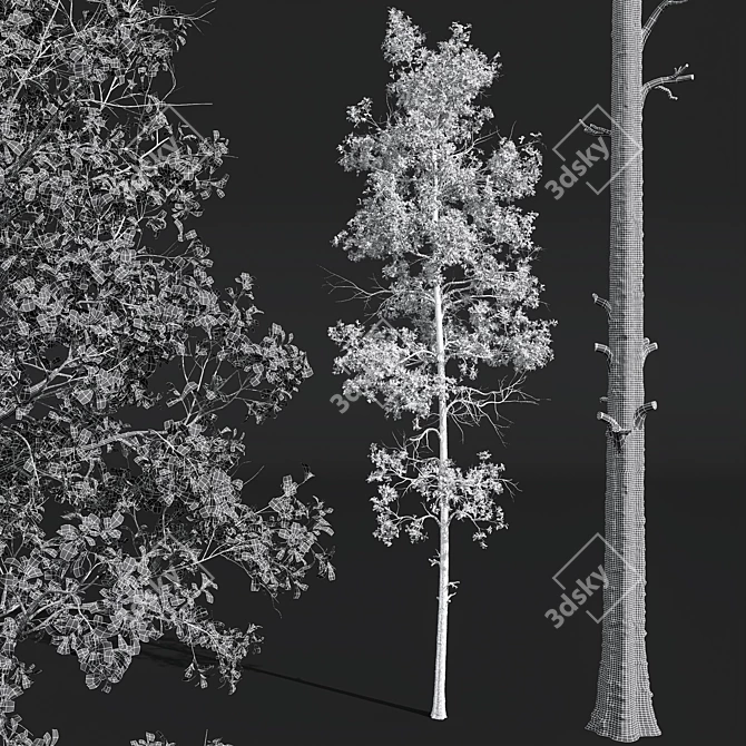 Diverse Tree 3D Models Bundle 3D model image 5