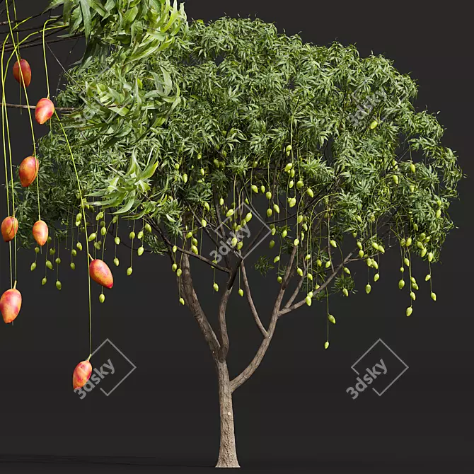 
Exquisite Mangifera Indica Mango Tree 3D model image 2