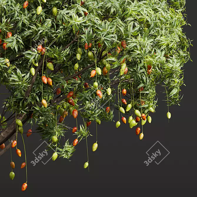 Title: High-Detail Mangifera Indica Model 3D model image 2