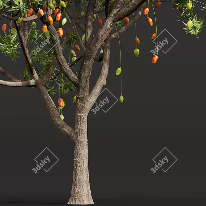 Title: High-Detail Mangifera Indica Model 3D model image 3