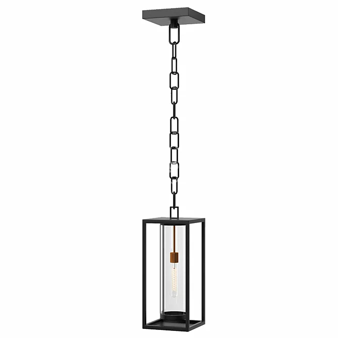 Contemporary Outdoor Pendant Light 3D model image 1